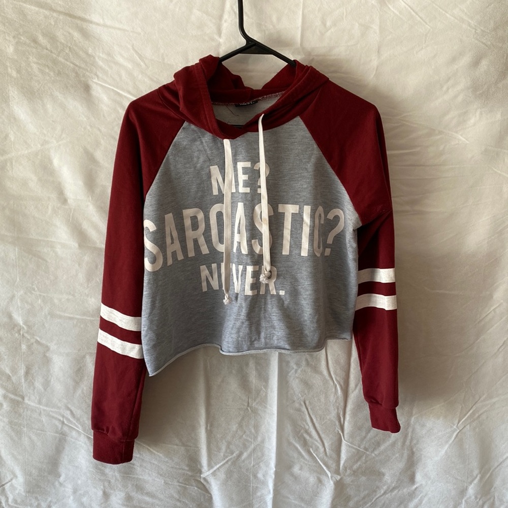 Rue 21 Crop Hoodie Sweater